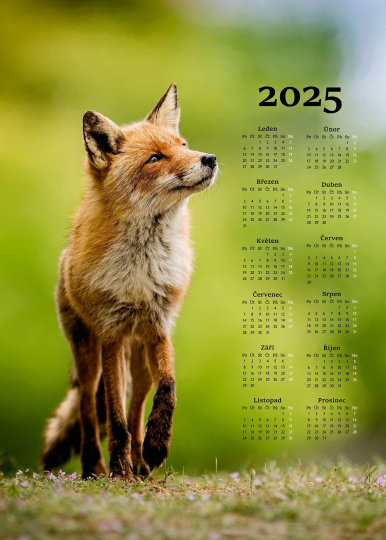 Utěrka KALENDÁŘ 2025 LIŠKA